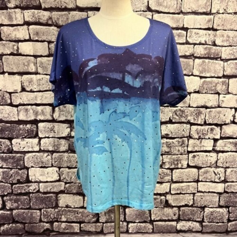 Cathy Daniels Blue Tone Sequin Front Blouse Size 1X